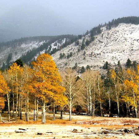 New Listing 2Br 2Ba Condo - Mountain Views Aspen Eksteriør billede