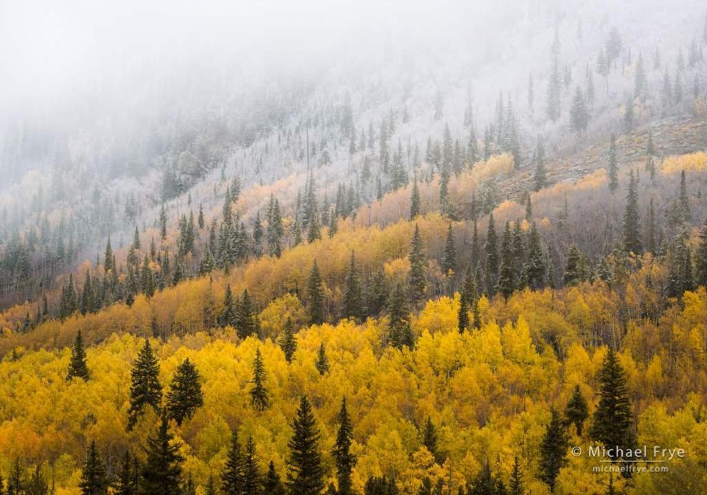 New Listing 2Br 2Ba Condo - Mountain Views Aspen Eksteriør billede